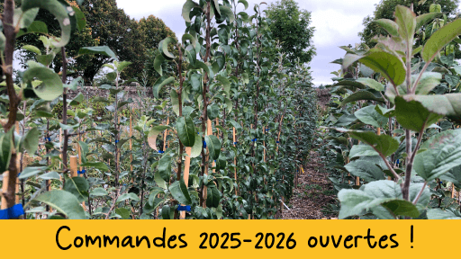 Commandes 2025-2026 ouvertes