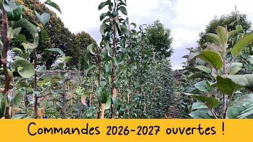 Commandes 2026-2027 ouvertes